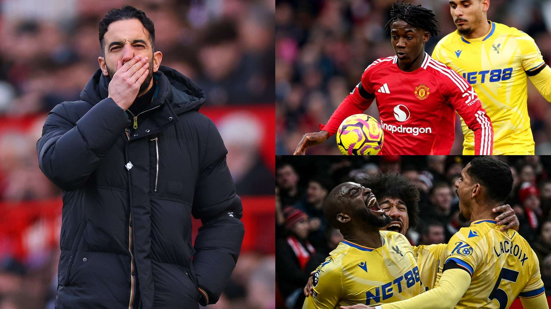 保持稳定的 保持稳定的